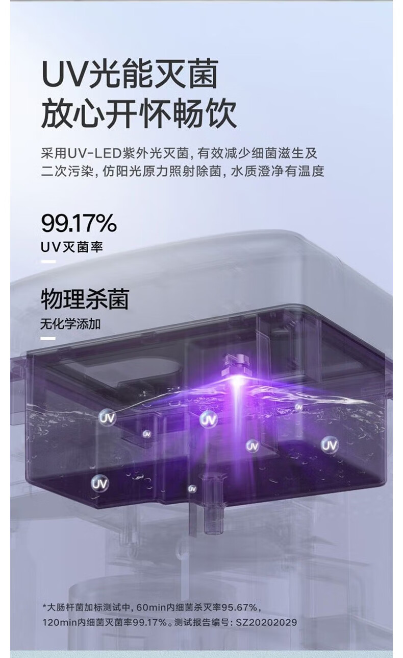 13375504456160635.jpg