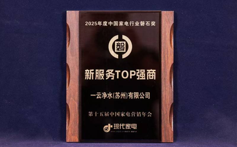 2025年度中电行业磐石奖-新服务TOP强商